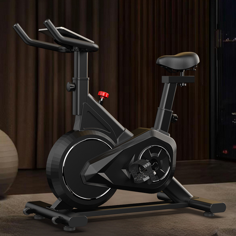 Bicicletta da spinning intelli - Exercise Bike Magnetic Resistance recensione e prezzo